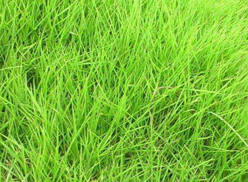 1642416381239983.jpg 1642416381239983.jpg