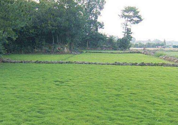 1642416402243912.jpg 1642416402243912.jpg