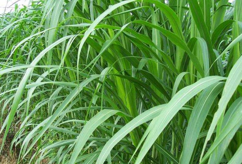 1642491178198717.jpg 1642491178198717.jpg