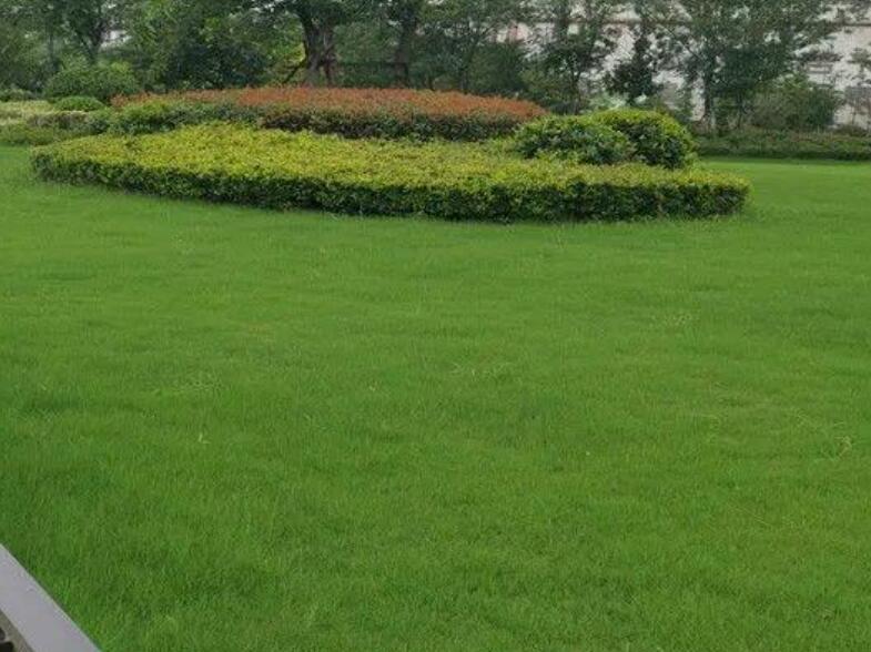 1642492611725653.jpg 1642492611725653.jpg