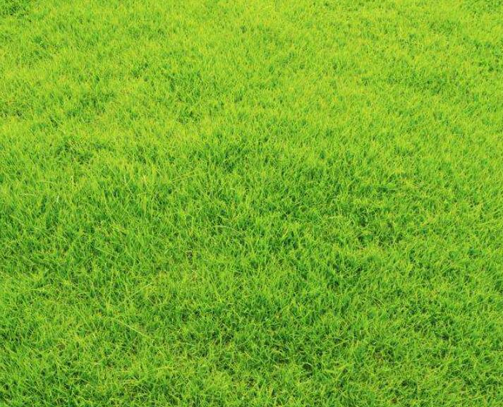 1642493644866596.jpg 1642493644866596.jpg