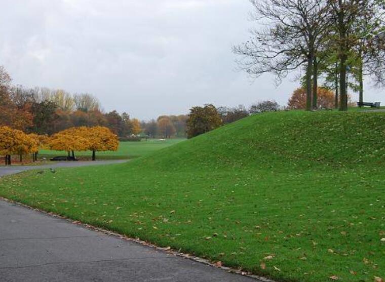 1642587618901604.jpg 1642587618901604.jpg