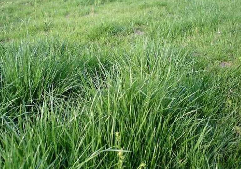 1642756829352673.jpg 1642756829352673.jpg