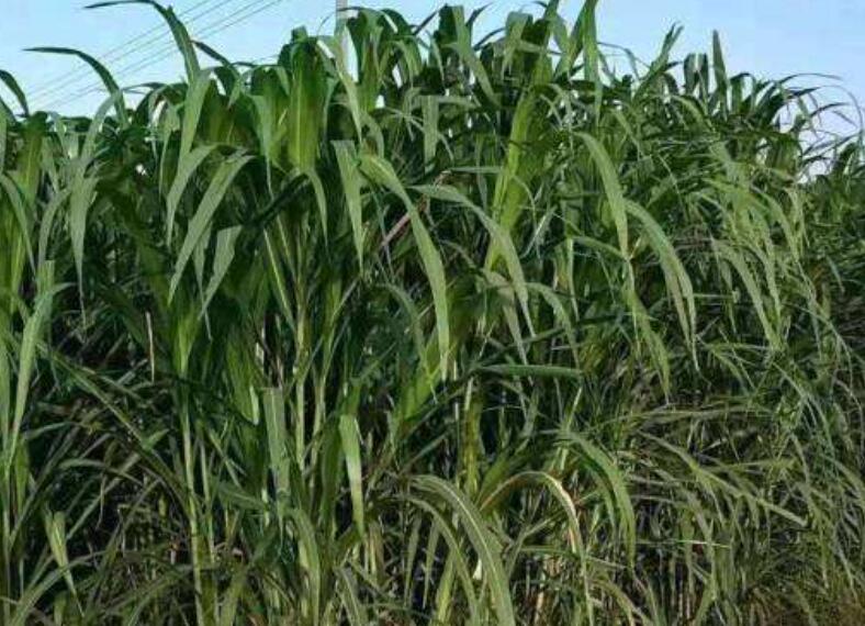 1642762789513300.jpg 2.jpg