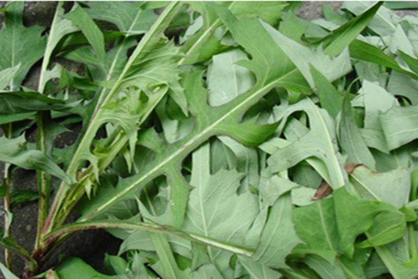 1643087495760320.jpg 1643087495760320.jpg