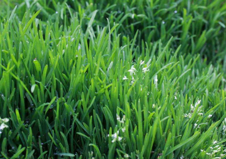 1643182313306098.jpg 3.jpg