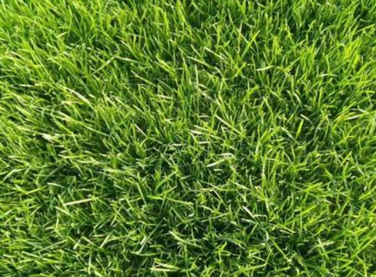 1643182922225515.jpg 1643182922225515.jpg