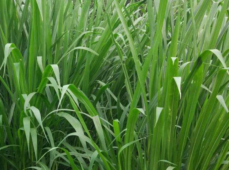 1643183565840445.jpg 1643183565840445.jpg