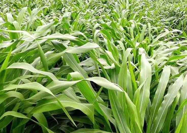 1643184123698588.jpg 2.jpg