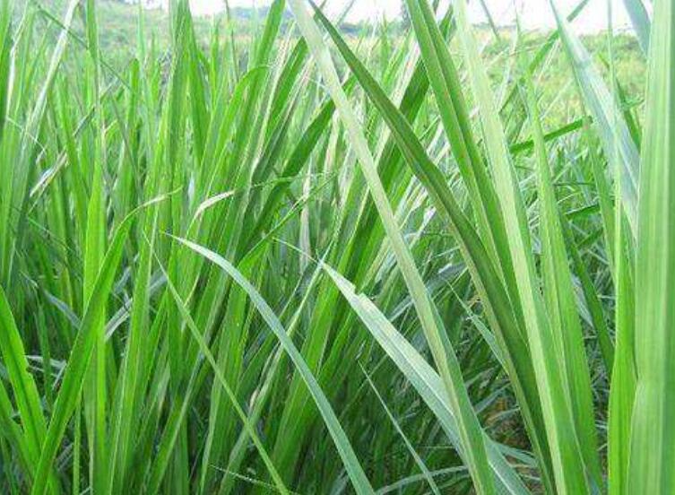 1643270391191840.jpg 1643270391191840.jpg