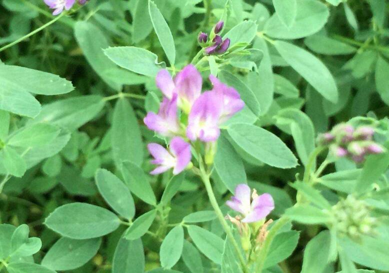 1643360893233858.jpg 1643360893233858.jpg