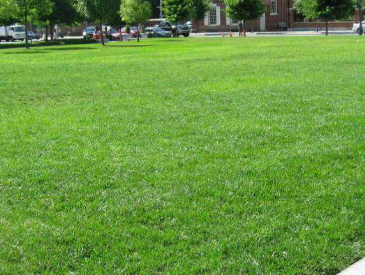 1643362197904760.jpg 1643362197904760.jpg