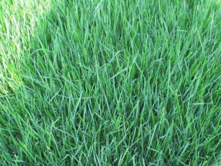 1643362213172755.jpg 1643362213172755.jpg