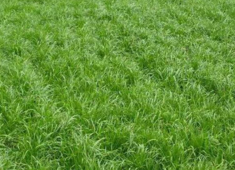 1643452388405118.jpg 1643452388405118.jpg