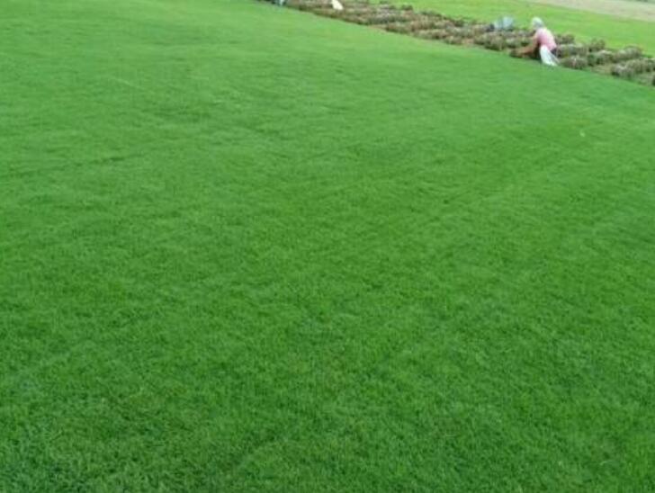 1643543637296889.jpg 2.jpg