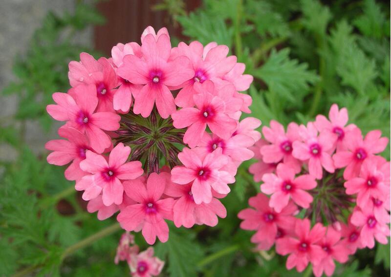 1644240361568094.jpg 1644240361568094.jpg