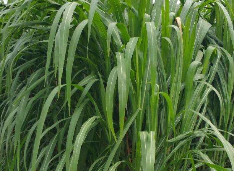 1644576745298400.jpg 1644576745298400.jpg