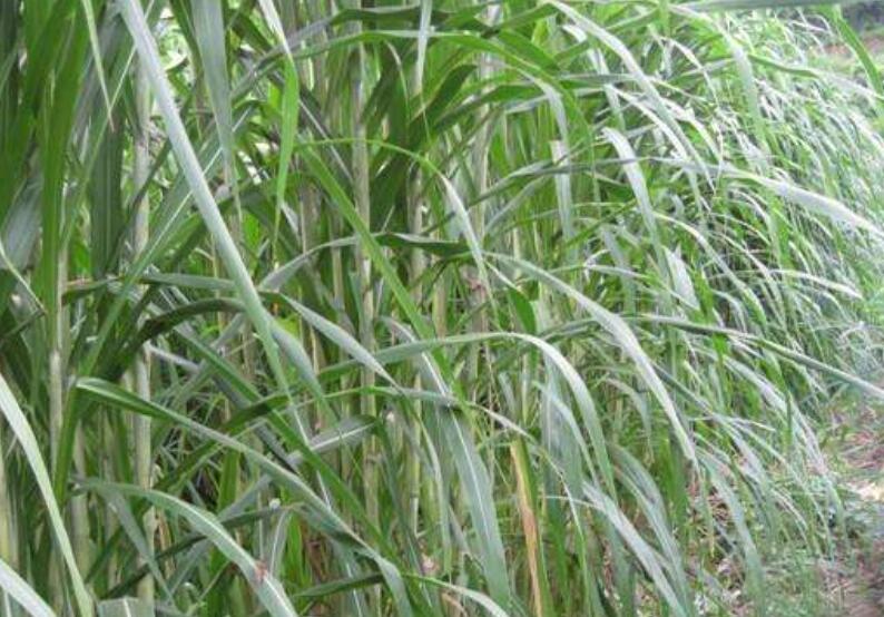 1644576755349846.jpg 1644576755349846.jpg