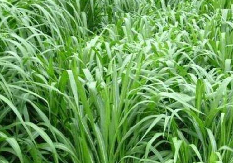 1644581155802560.jpg 2.jpg