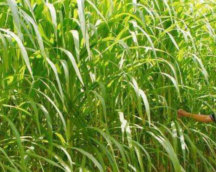 1644582495841420.jpg 2.jpg