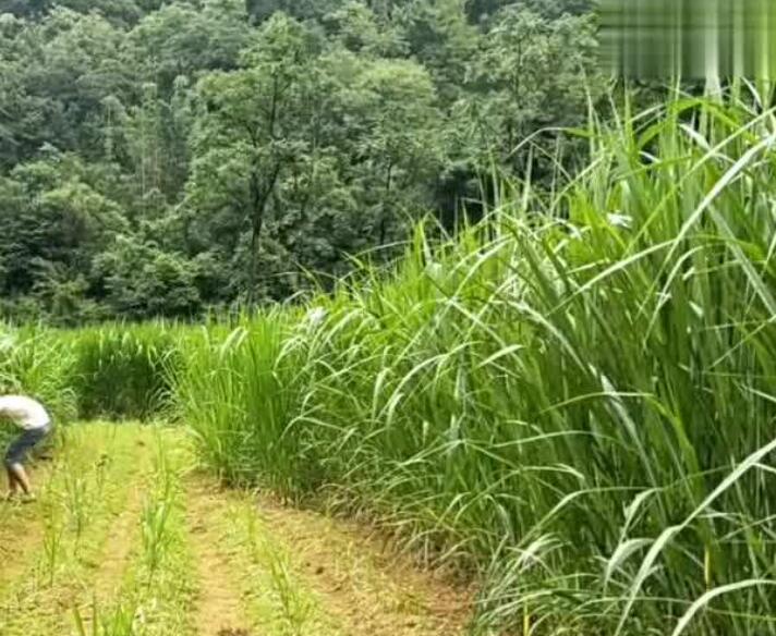 1644582506884182.jpg 3.jpg