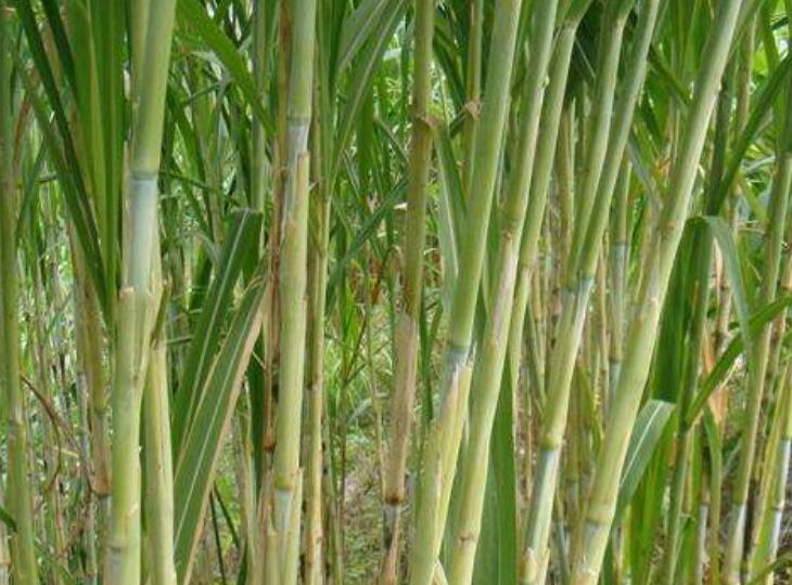 1644668913310341.jpg 1644668913310341.jpg