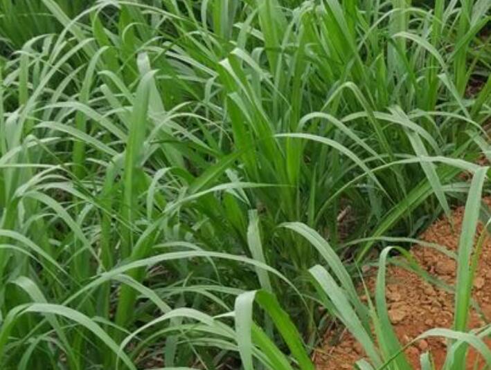 1644670153990083.jpg 1644670153990083.jpg