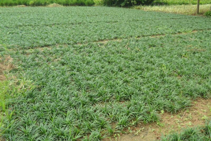 1644730146931778.jpg 1644730146931778.jpg