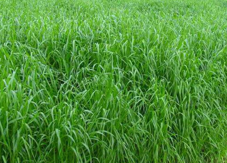 1645264621217951.jpg 1645264621217951.jpg