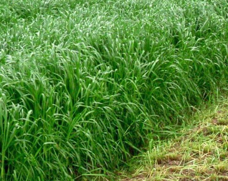 1645264886510254.jpg 3.jpg