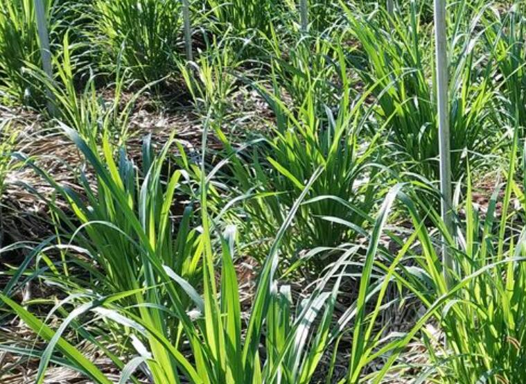 1645275064214729.jpg 3.jpg