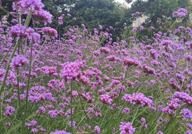 1645700478913094.jpg 2.jpg