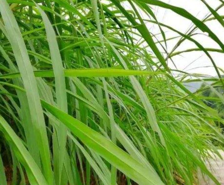 1645708835291451.jpg 3.jpg