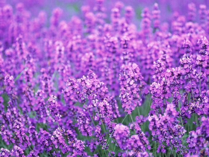 1645788761702471.jpg 1.jpg