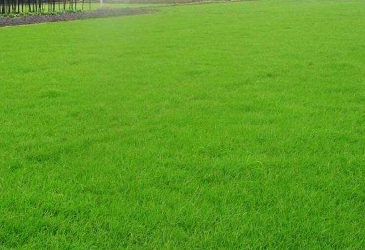 1645791468433191.jpg 2.jpg