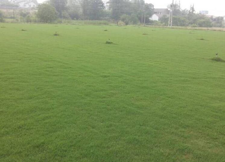 1645791478805828.jpg 3.jpg