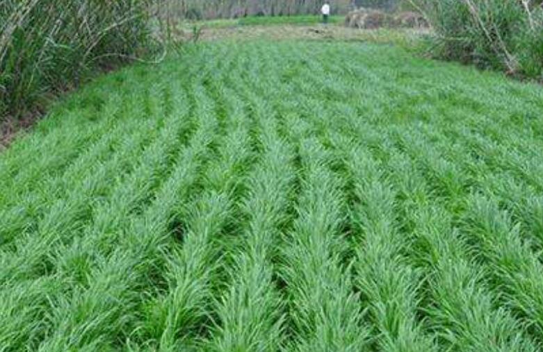 1645801719427022.jpg 1.jpg