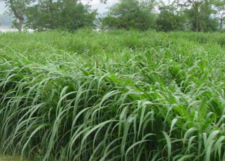 1645801742222967.jpg 3.jpg