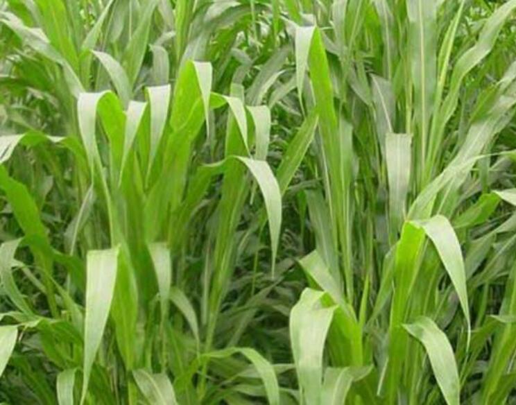 1646191255148751.jpg 3.jpg