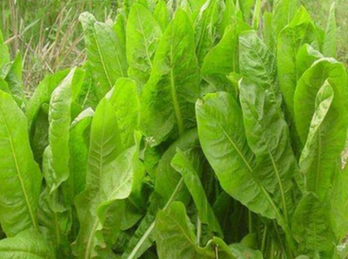 1646192610708411.jpg 3.jpg