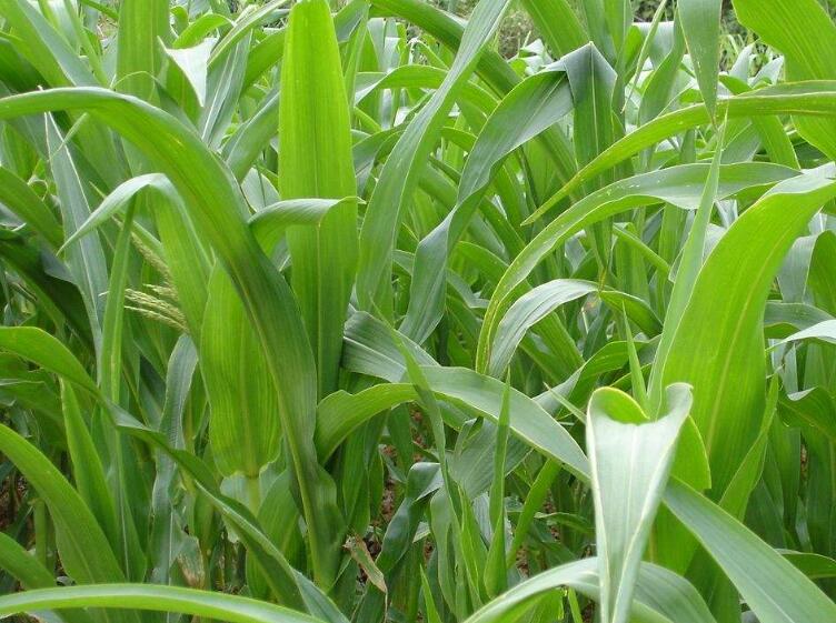 1646304114951658.jpg 3.jpg