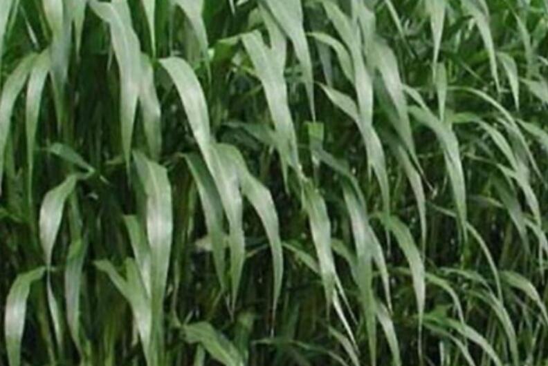 1646306864832690.jpg 1646306864832690.jpg