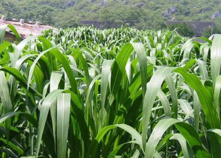 1646307189480152.jpg 2.jpg