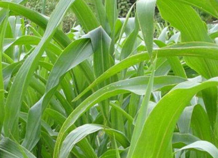 1646307199930641.jpg 3.jpg