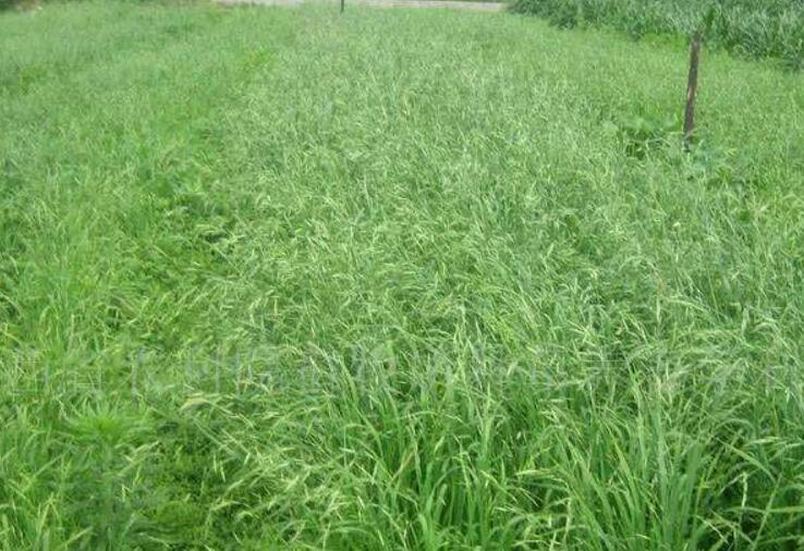 1646316477525443.jpg 2.jpg