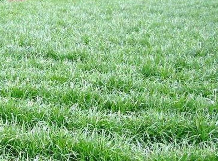 1646316487698228.jpg 3.jpg