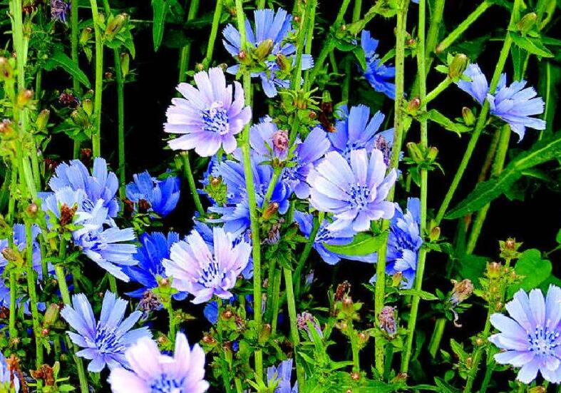 1646486382703859.jpg 2.jpg