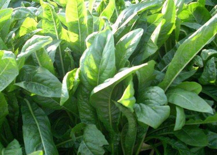 1646486393803687.jpg 3.jpg