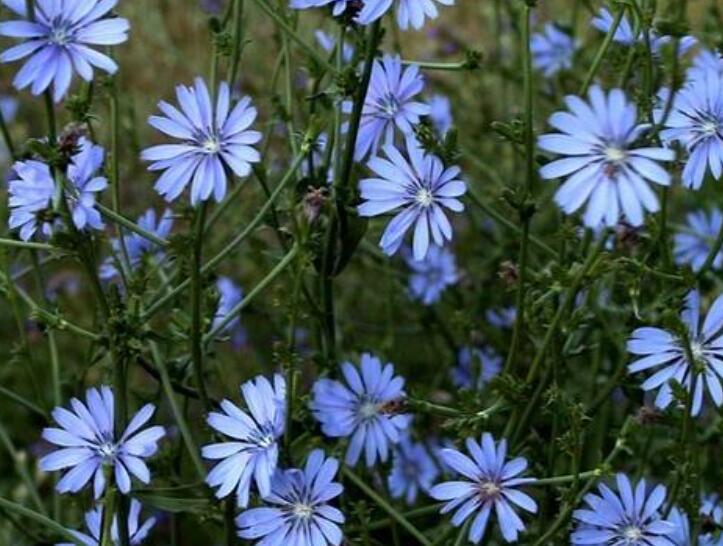 1646575088371937.jpg 2.jpg