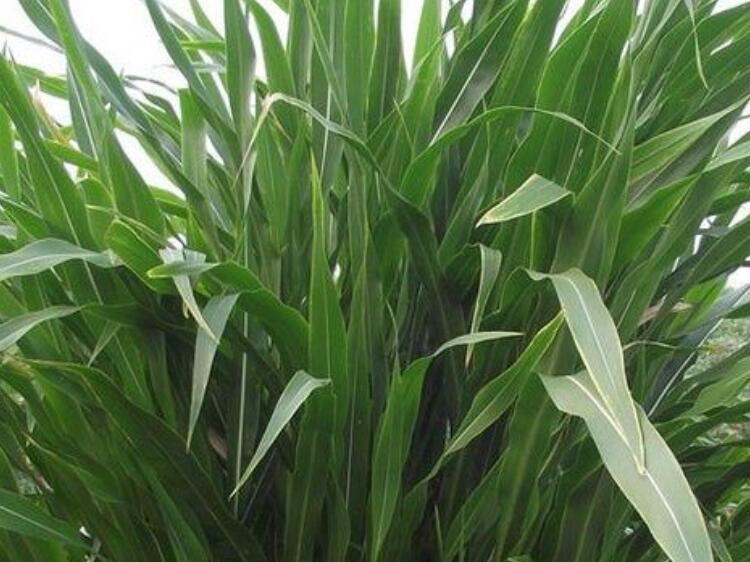 1646578744514086.jpg 1646578744514086.jpg